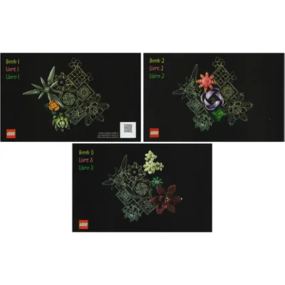 Succulents — instructions
