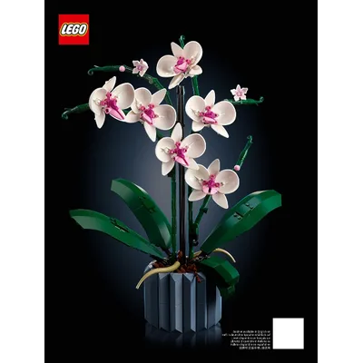 Orchid — instructions